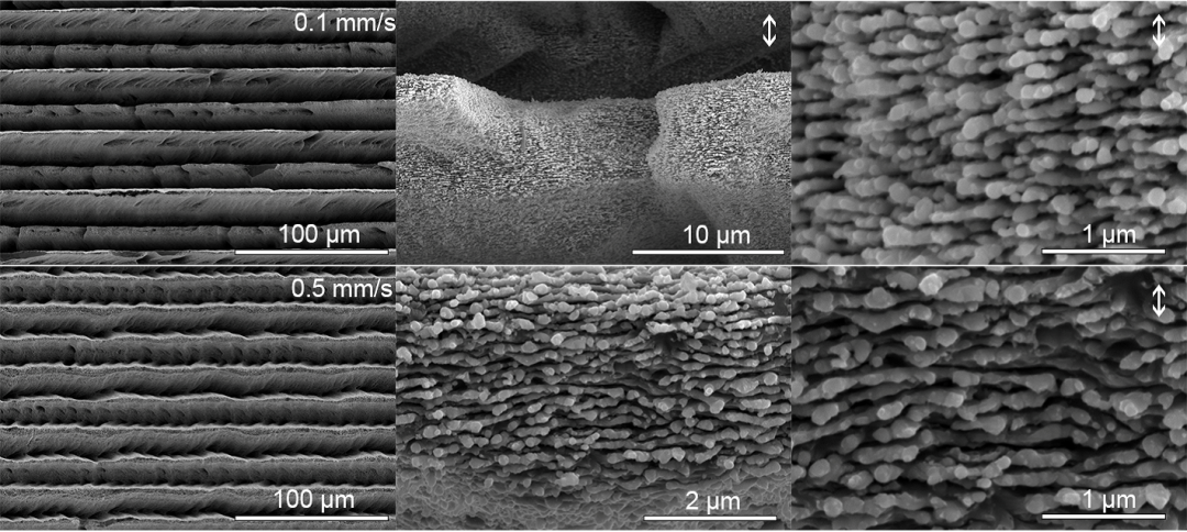 1603868340126402.png 22.png